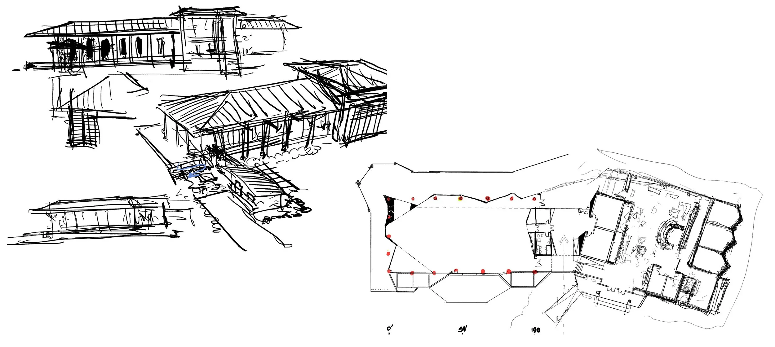 Sketches.jpg