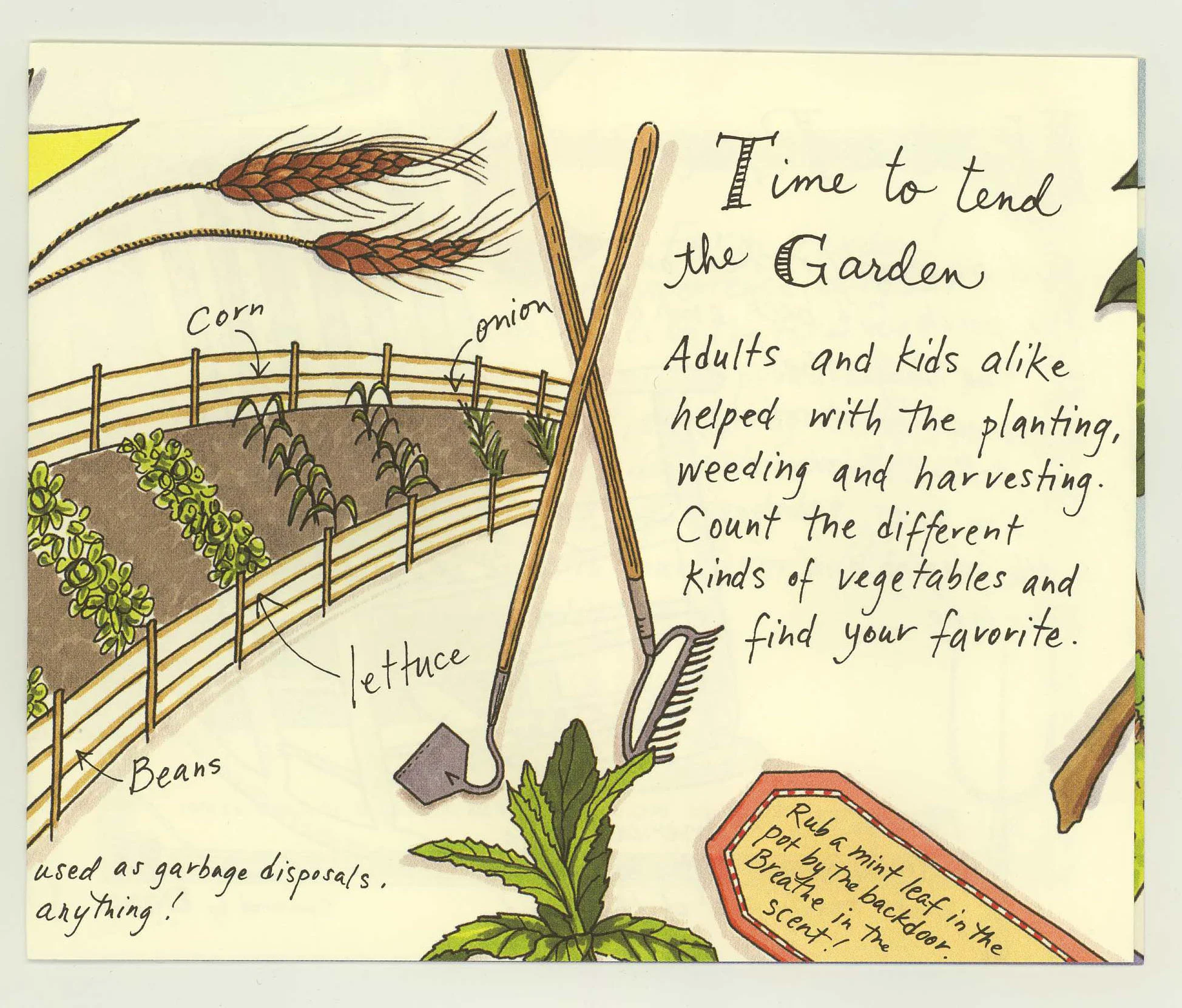 farm-3.jpg