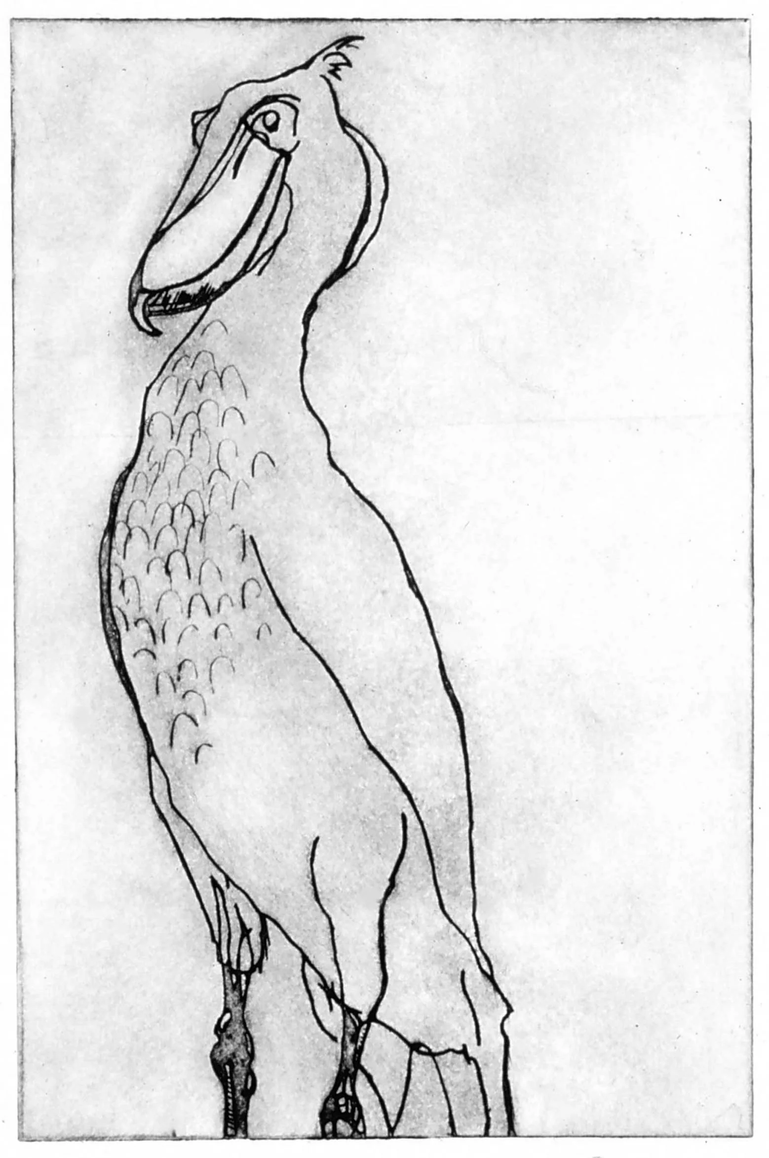 etching-1.jpg