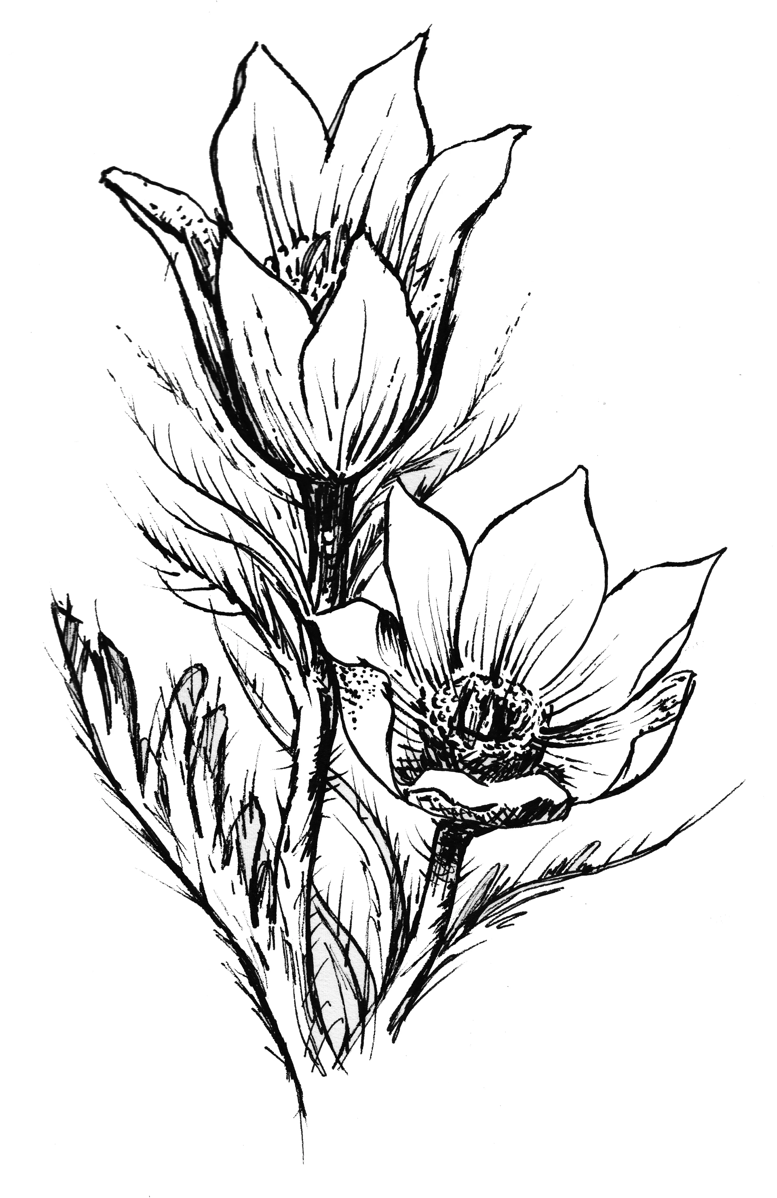 Floral_5_2.jpg