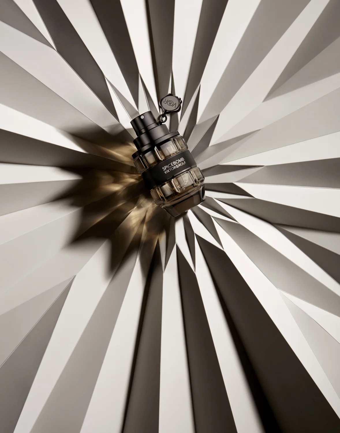 Peter Rosa Still Life Direct Link_010.jpg