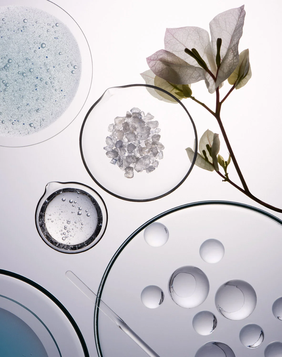 FS_GreenBeautyLab_1.jpg