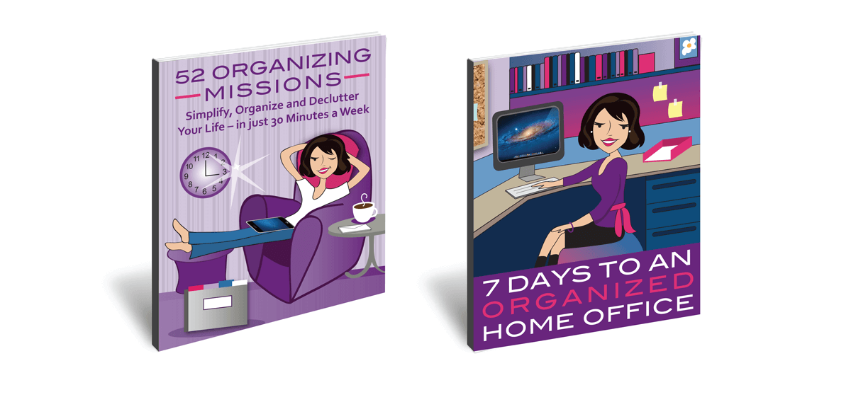 MICHELE CONOLLEY, GET ORGANIZED WIZARD .png