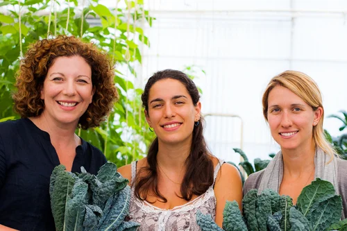 A travel weary Audra, farmer Marion and kale champion Kristen