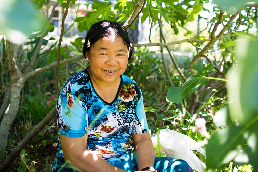 Taking refuge from the sun under a fig tree