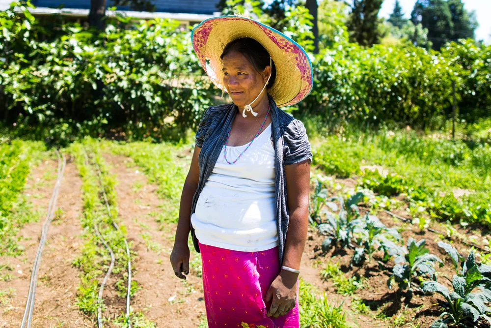 An unseasonal 100 degree weather makes farming while pregnant an even harder chore