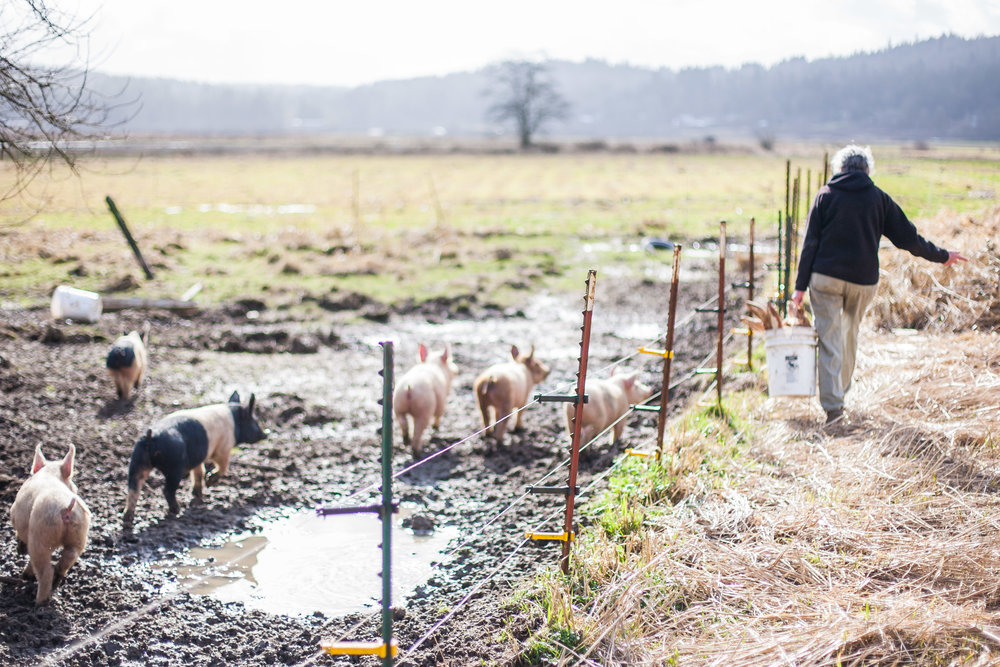 Female Farmer Project _ AudraMulkern11.jpg