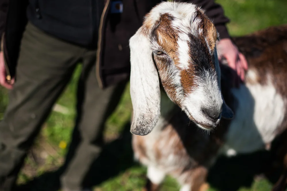 Female Farmer Project _ AudraMulkern10.jpg