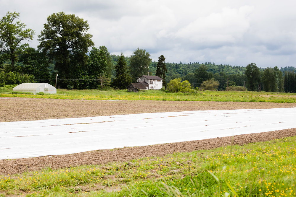 Female Farmer Project _ AudraMulkern14.jpg