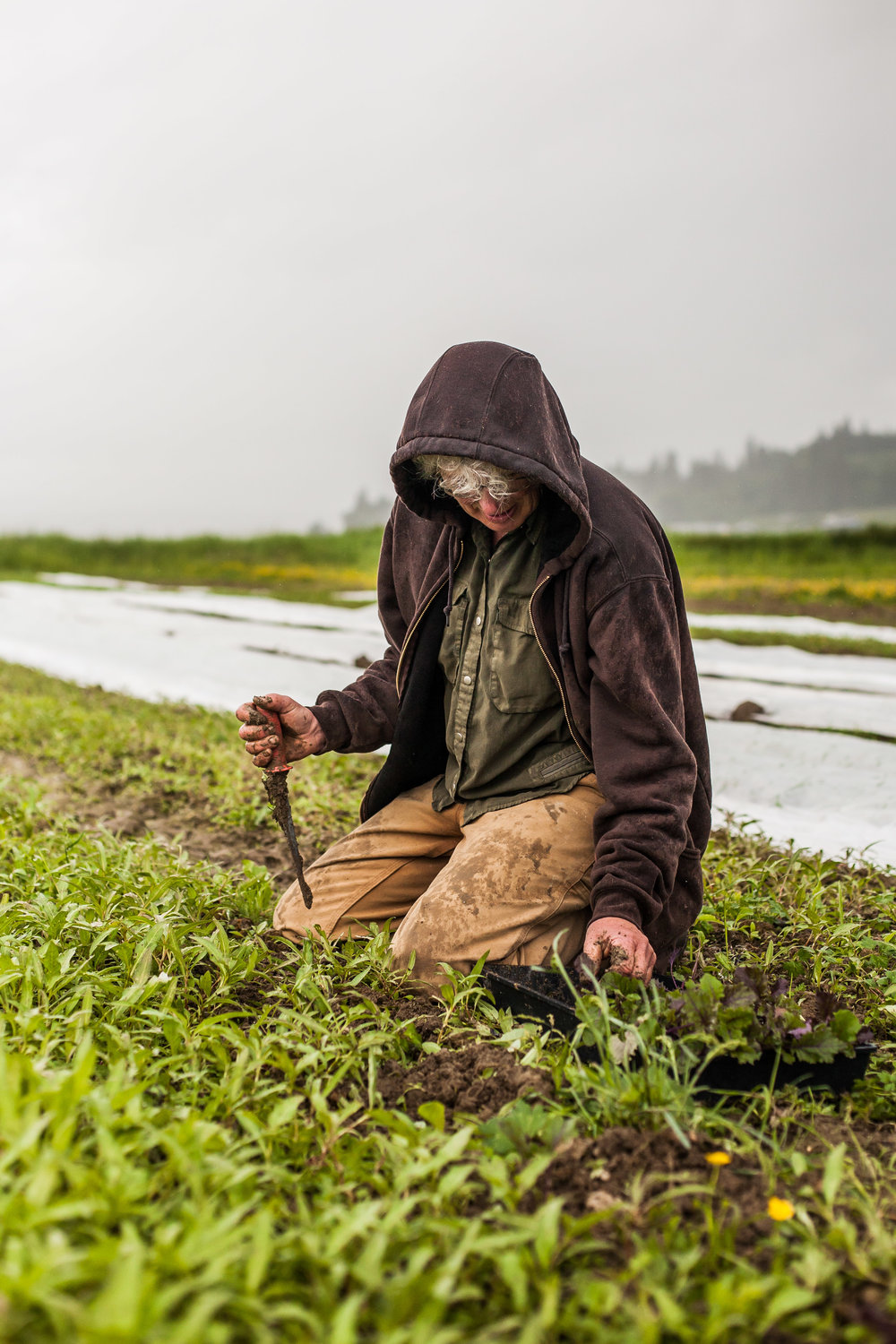 Female Farmer Project _ AudraMulkern12.jpg