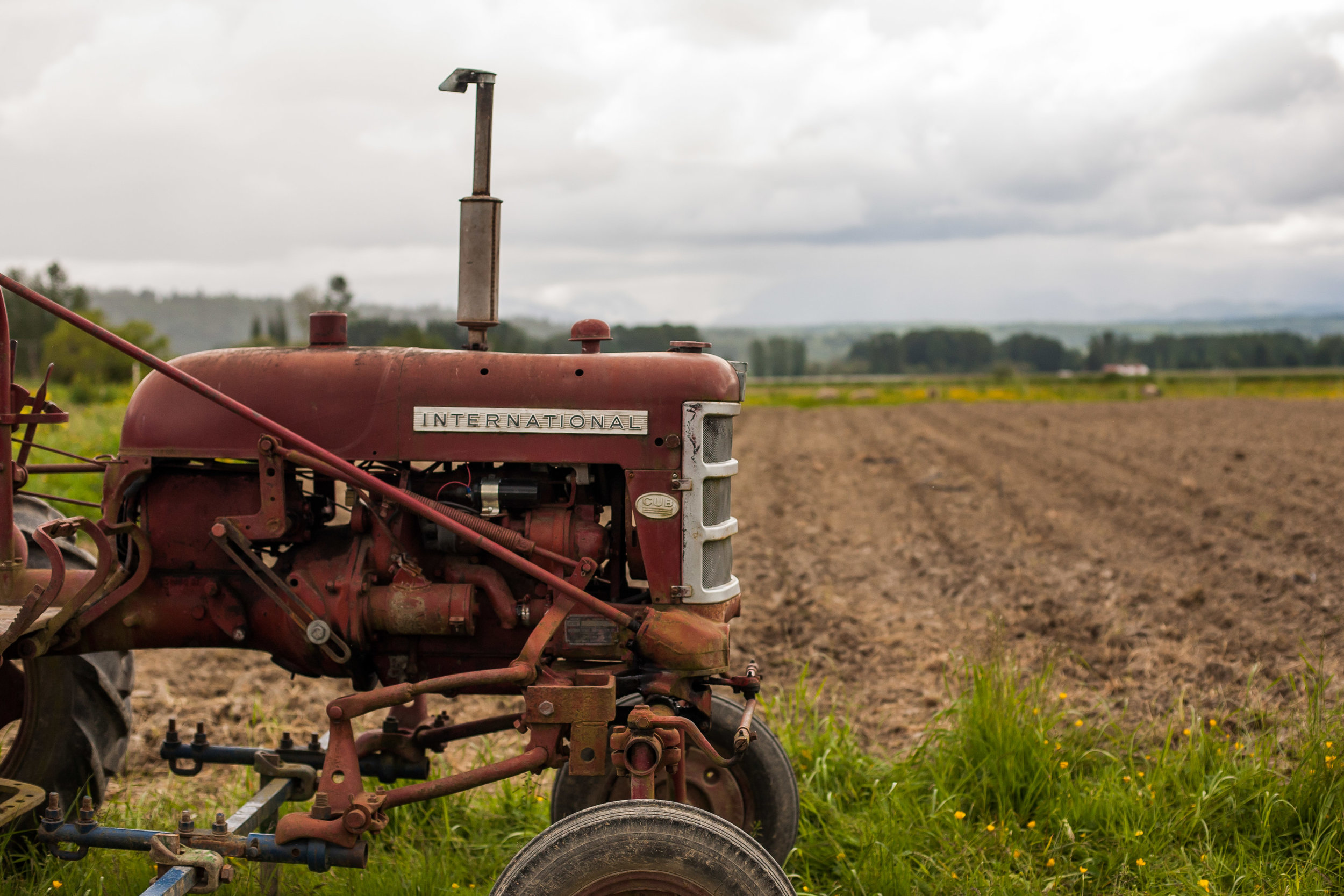 Female Farmer Project _ AudraMulkern8.jpg