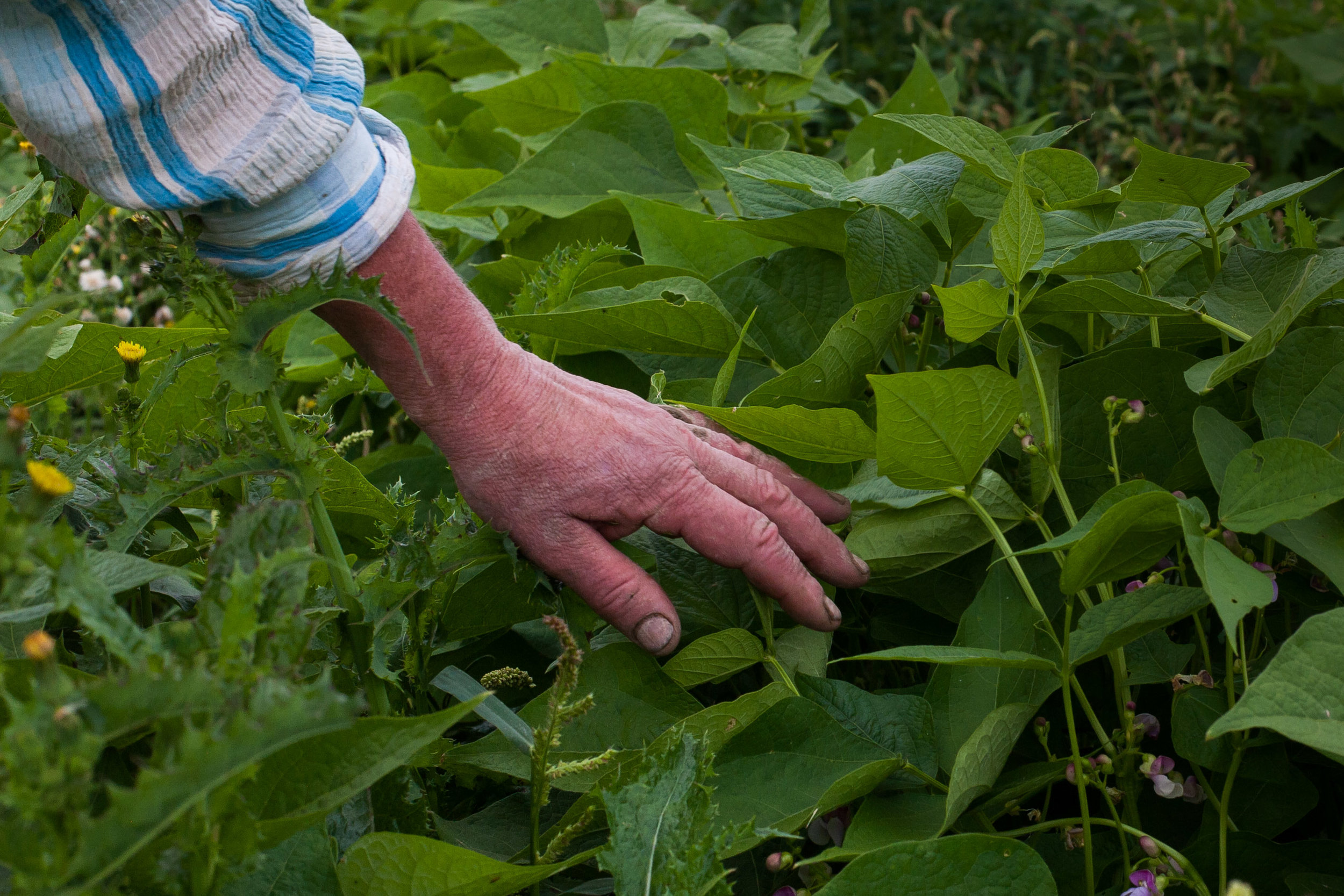 Female Farmer Project _ AudraMulkern7-2.jpg