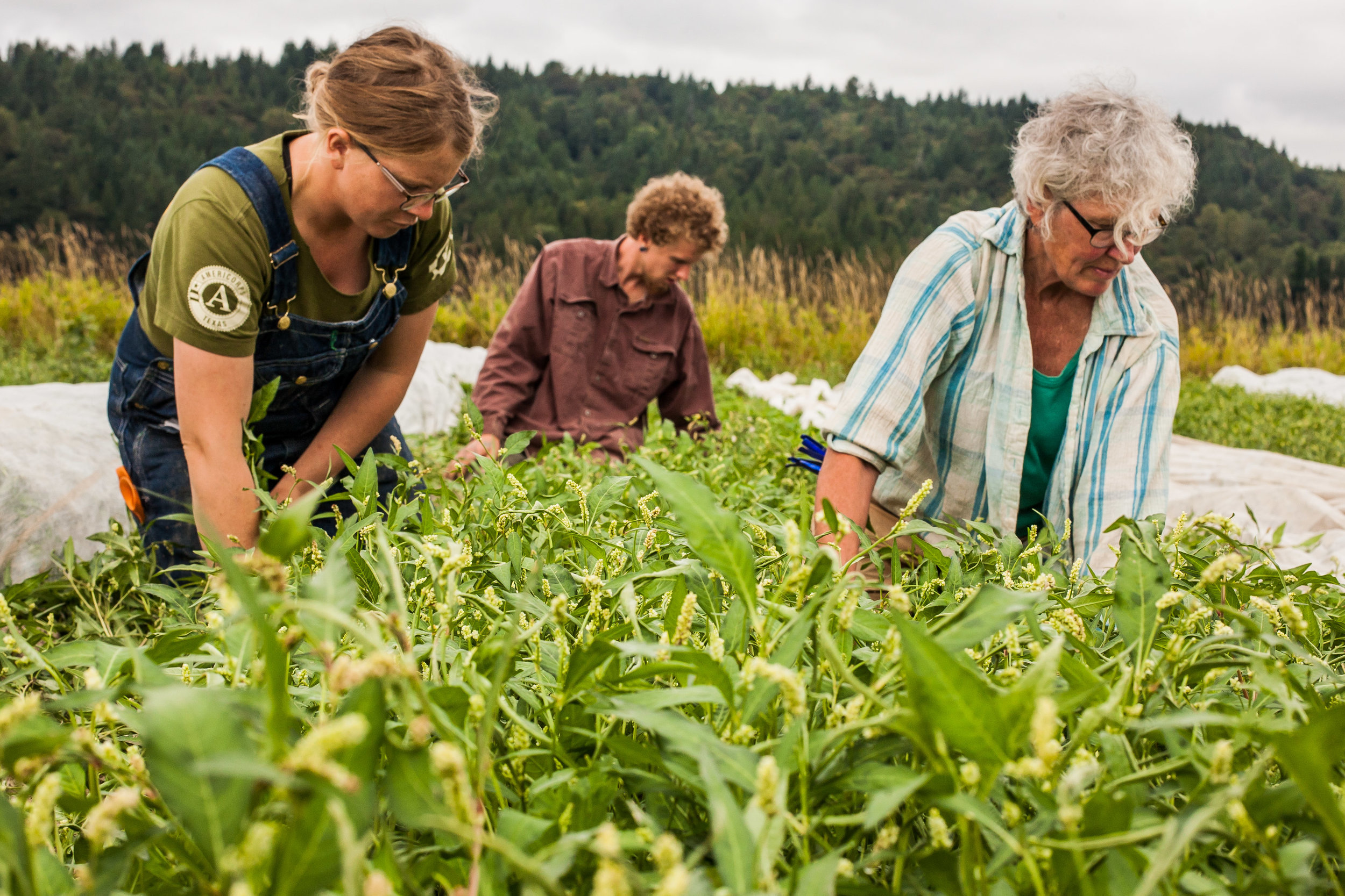 Female Farmer Project _ AudraMulkern3-3.jpg