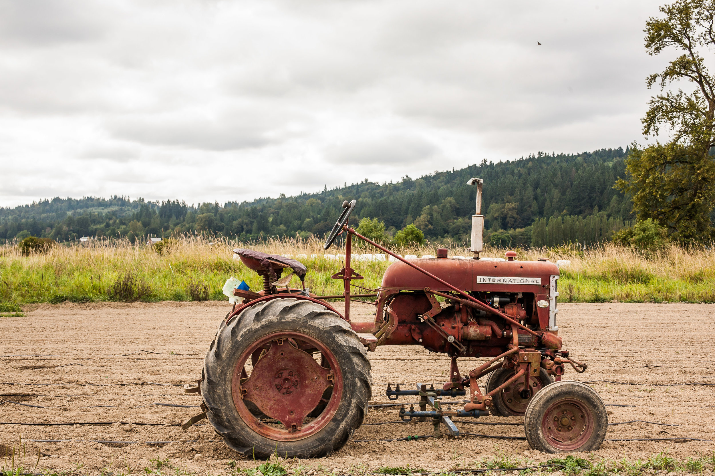 Female Farmer Project _ AudraMulkern2-3.jpg