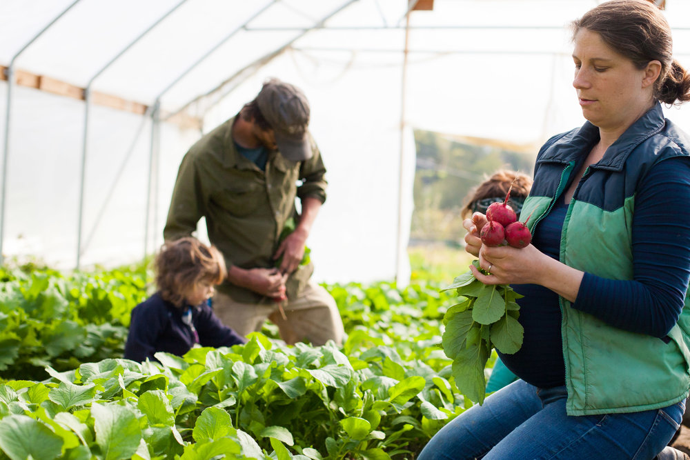 Female Farmer Project _ AudraMulkern6.jpg