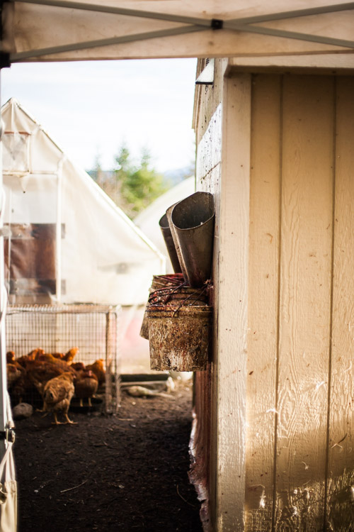 Female Farmer Project_ Audra Mulkern1.jpg