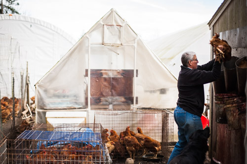 Female Farmer Project_ Audra Mulkern9.jpg