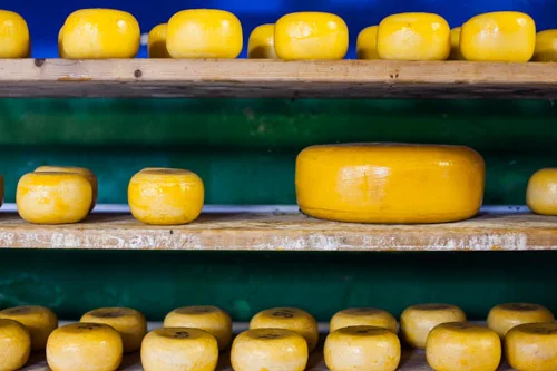 Cheeses curing from a recent cheesemaking workshop
