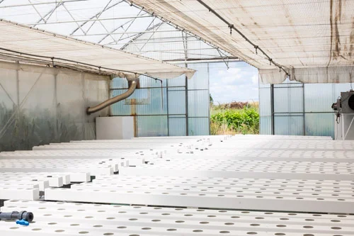 Second half of the greenhouse is being prepped for future plantings.