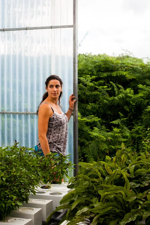 The greenhouse is open to the elements, including the sudden rainshower