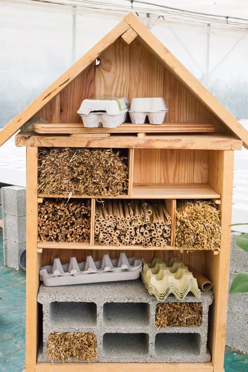 Pollinator house in progress