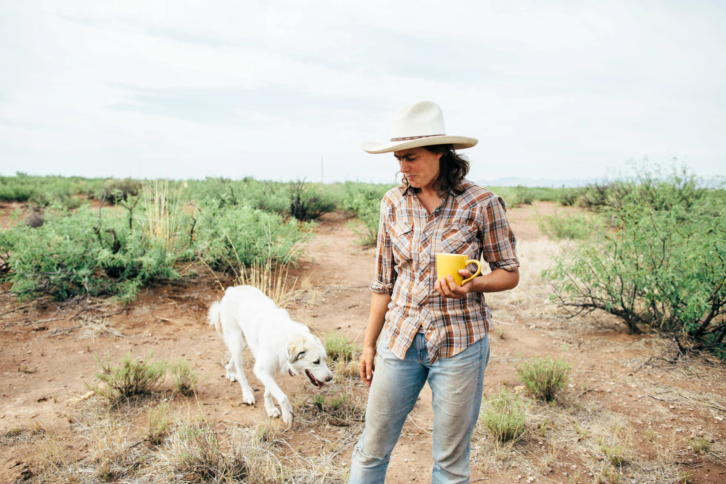 The rancher that inspired the first coloring page. Details below.