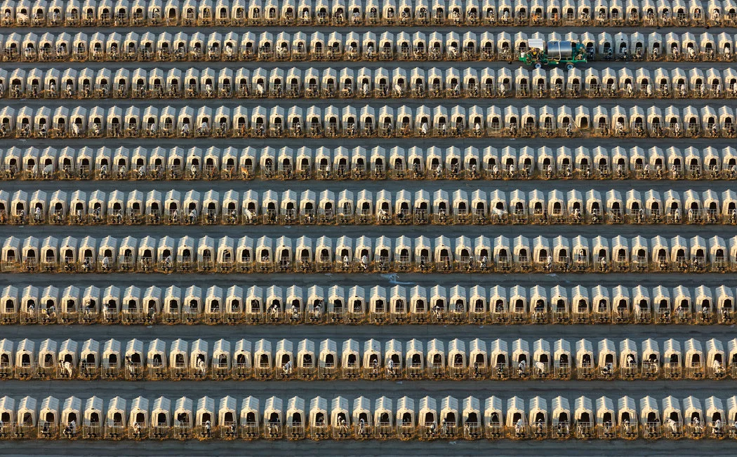 Photograph by GEORGE STEINMETZ