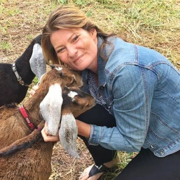 image courtesy of Lainey Morse/Goat Yoga
