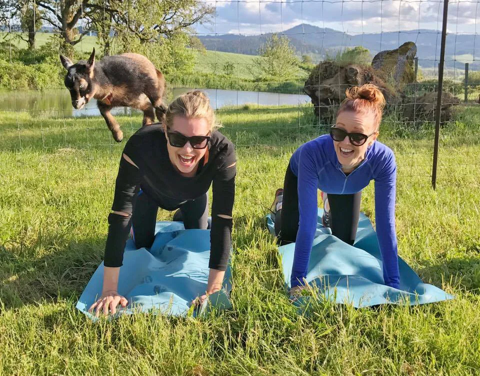 image courtesy of Goat Yoga