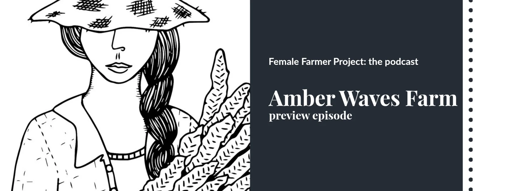 amber waves.jpg