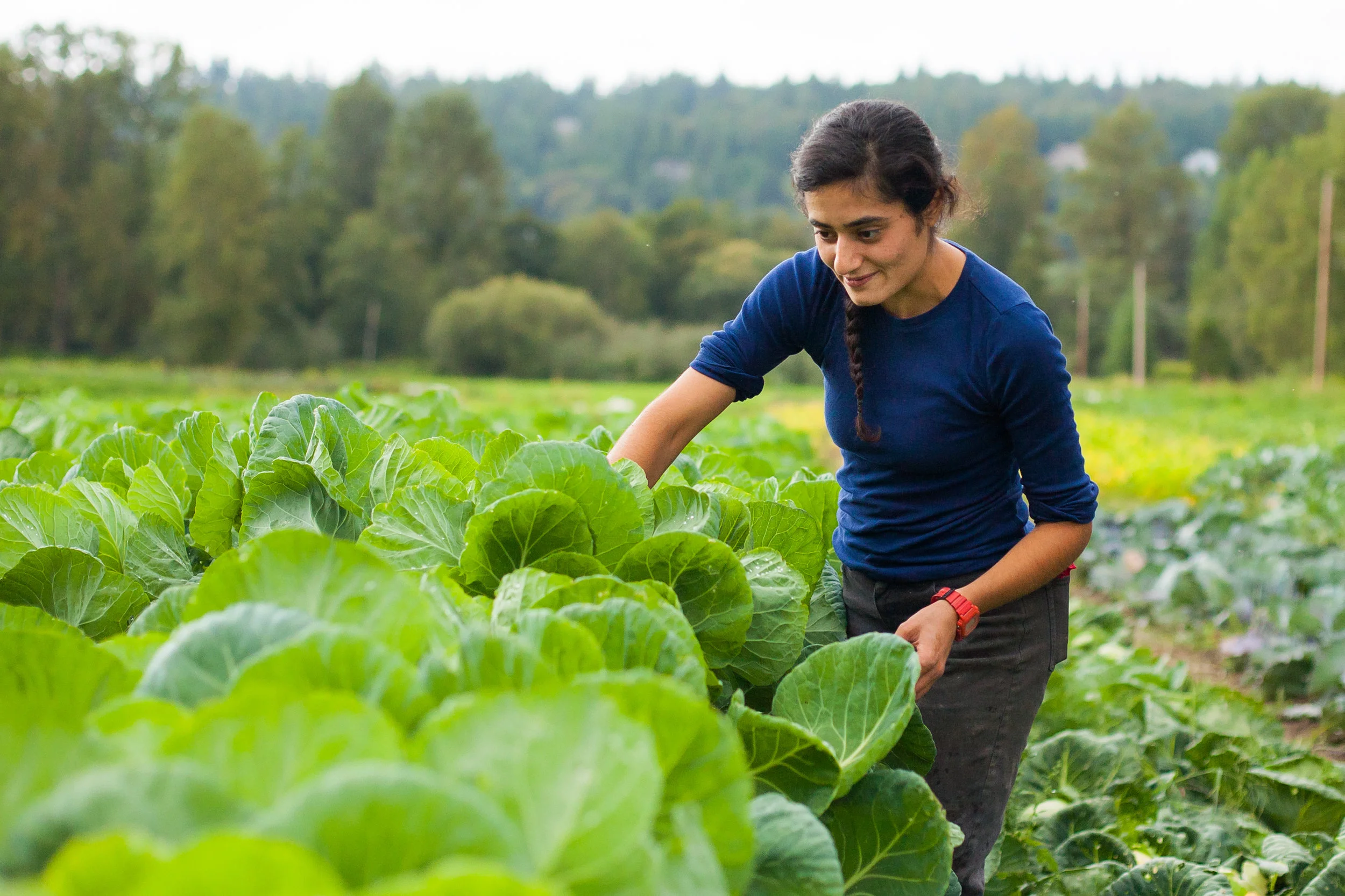 The Greenhorn One Leaf Farm The Female Farmer Project