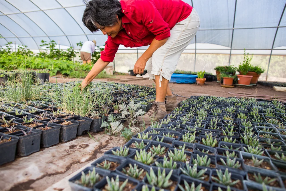 forever yong ffp-4.jpg