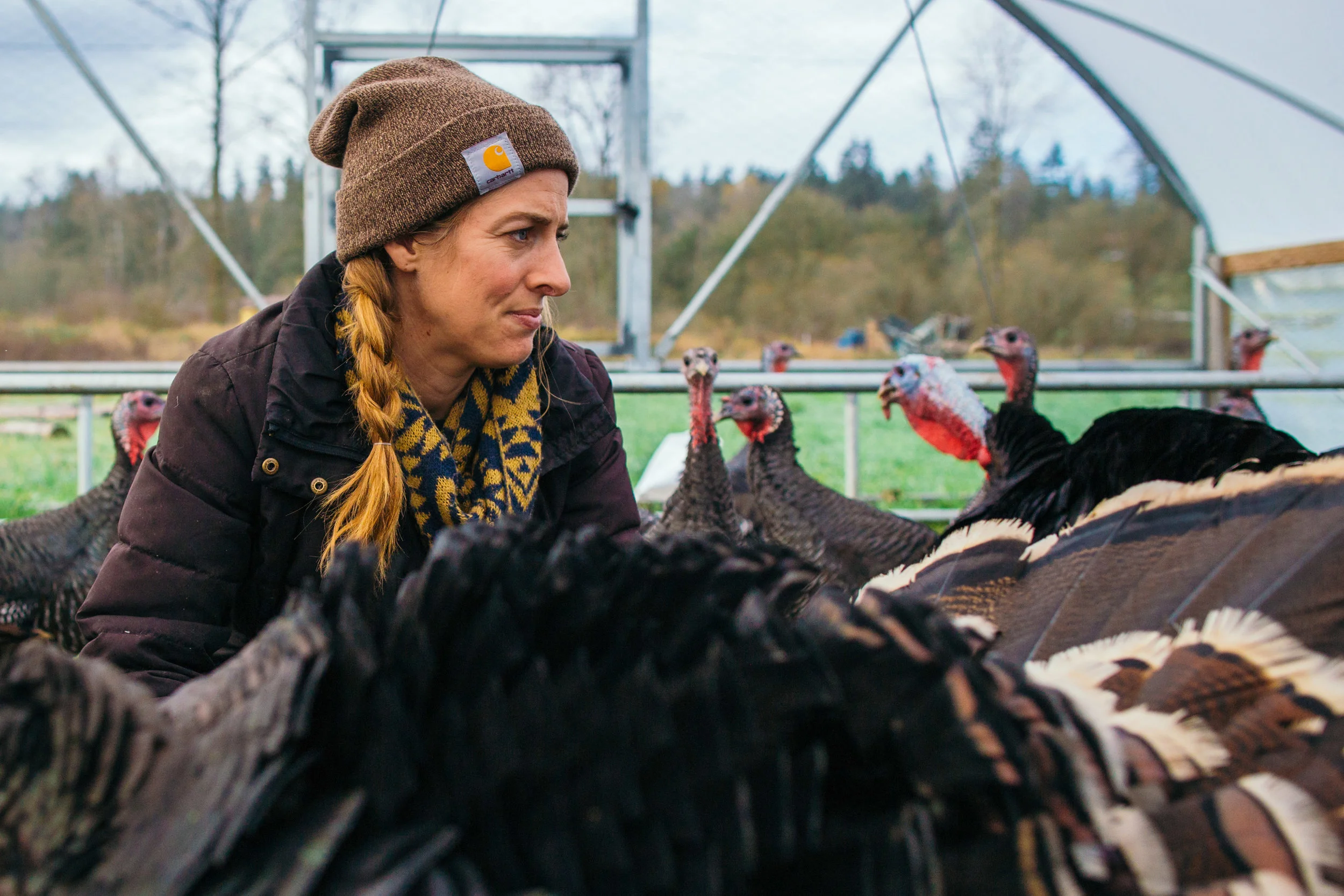 Micha with her turkeys