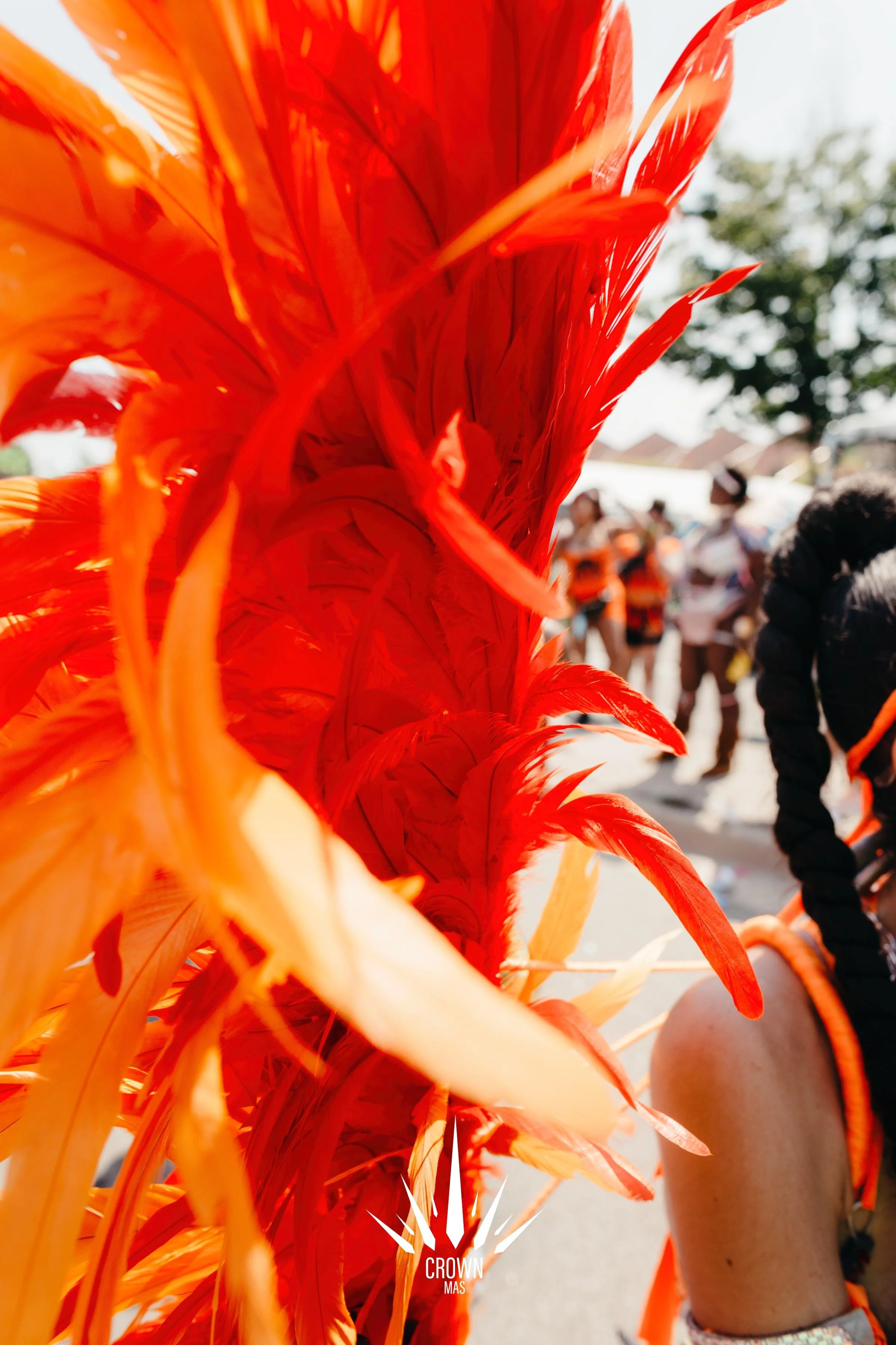 DeunkPhoto-Caribana-CrownMas-0806.jpg