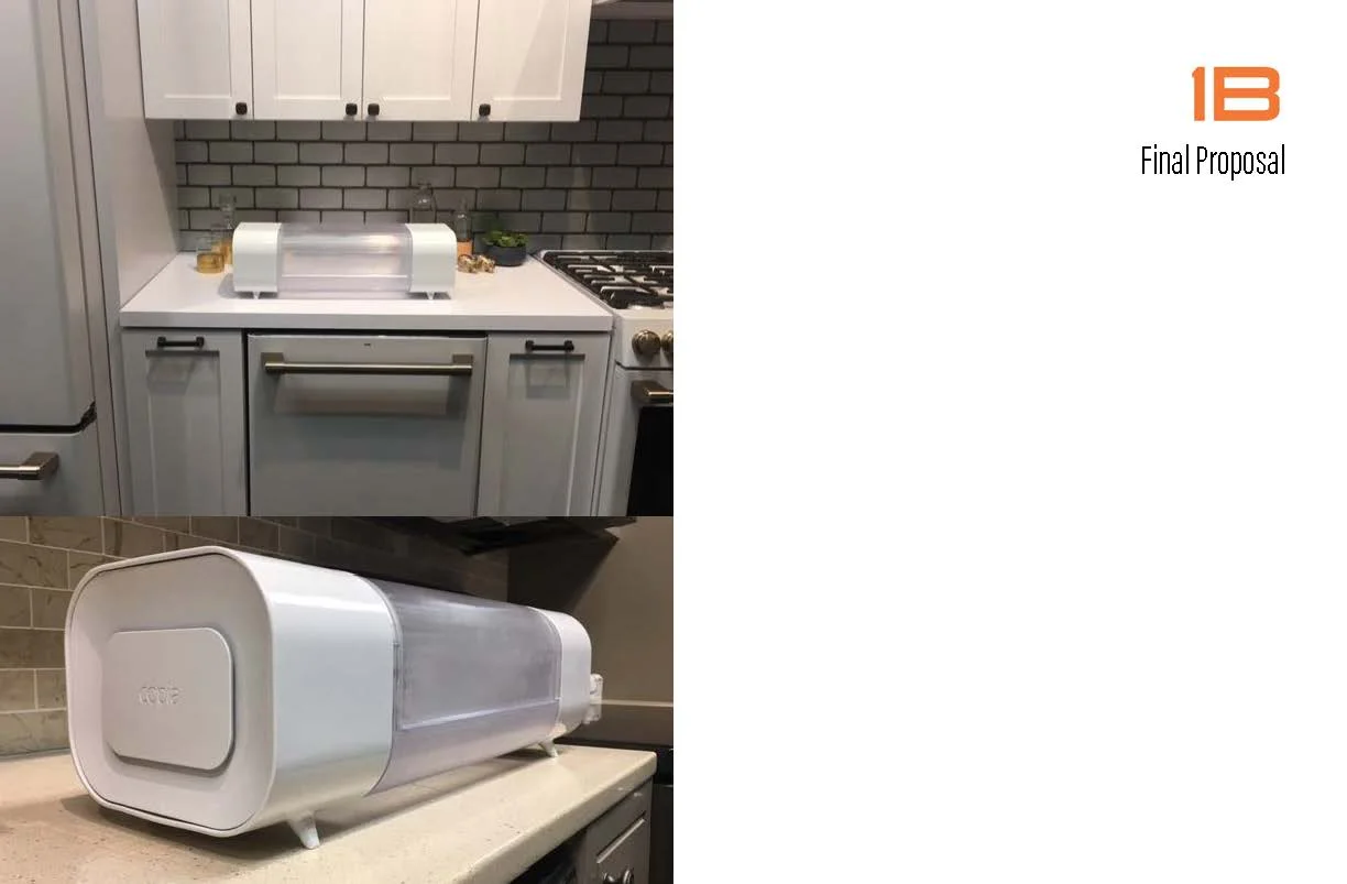 Portfolio Project_Page_13.jpg