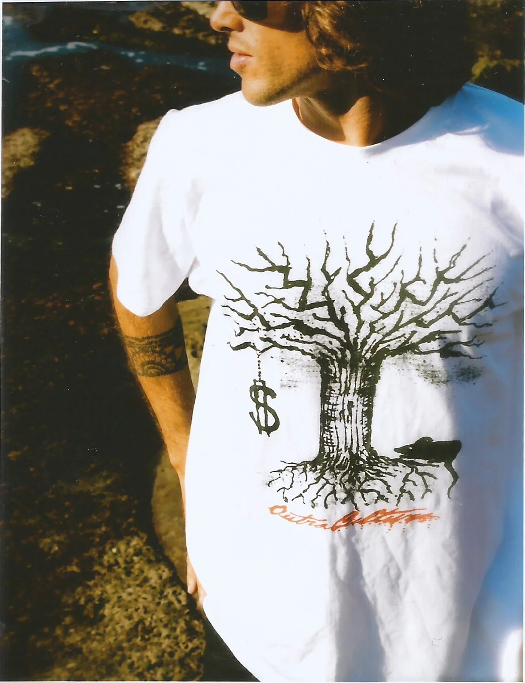Money-Tree-Model-1.jpg