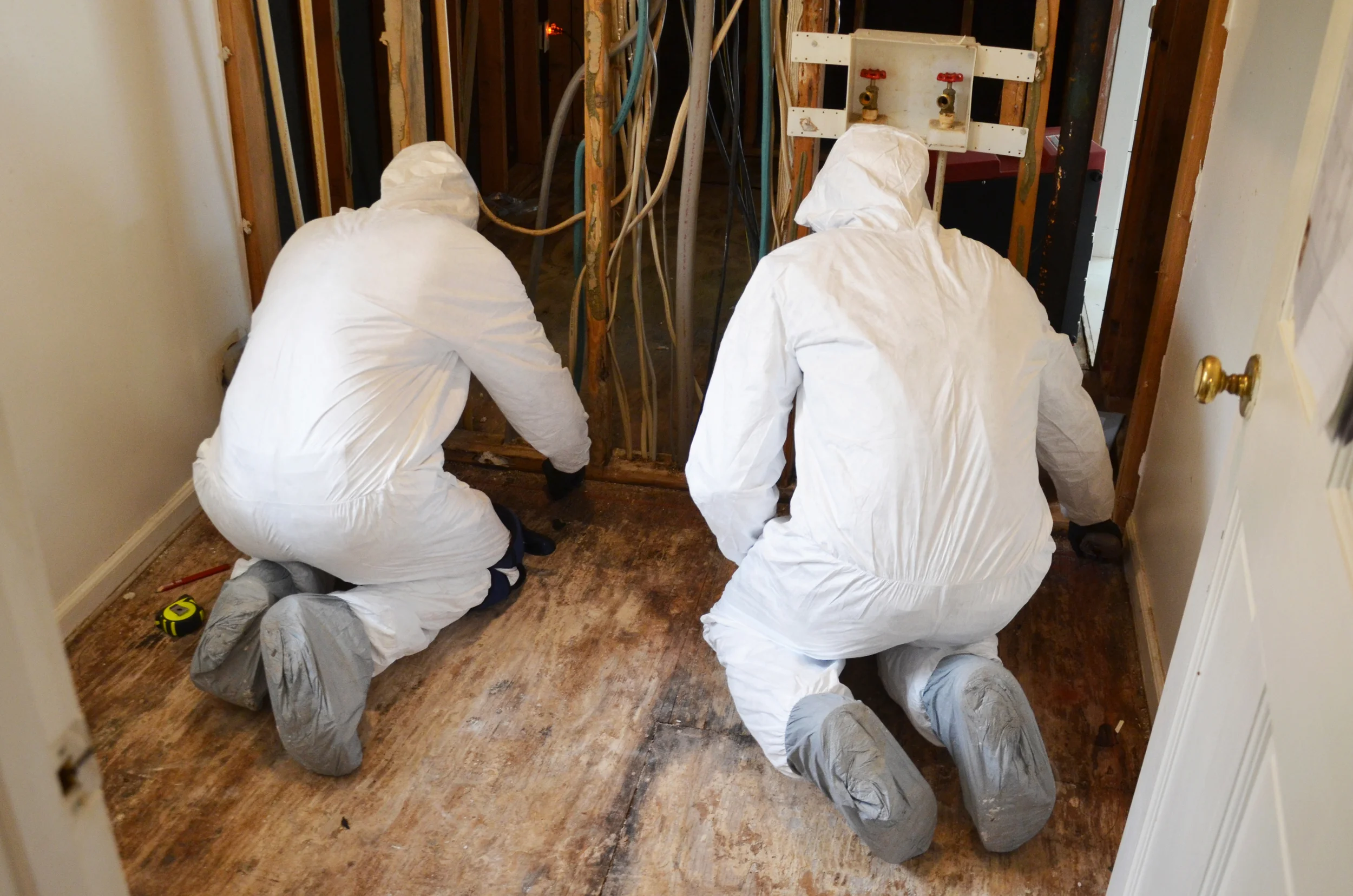 Mold can be extremely hazardous to your health and property. Our certified technicians are highly trained in mold remediation. 