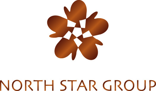 NorthStarGroup Logo.jpg