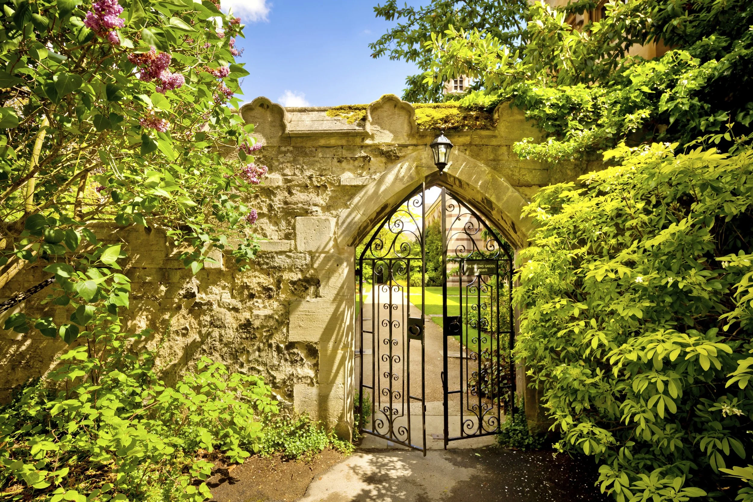 OXFORD for SITE RES.jpg