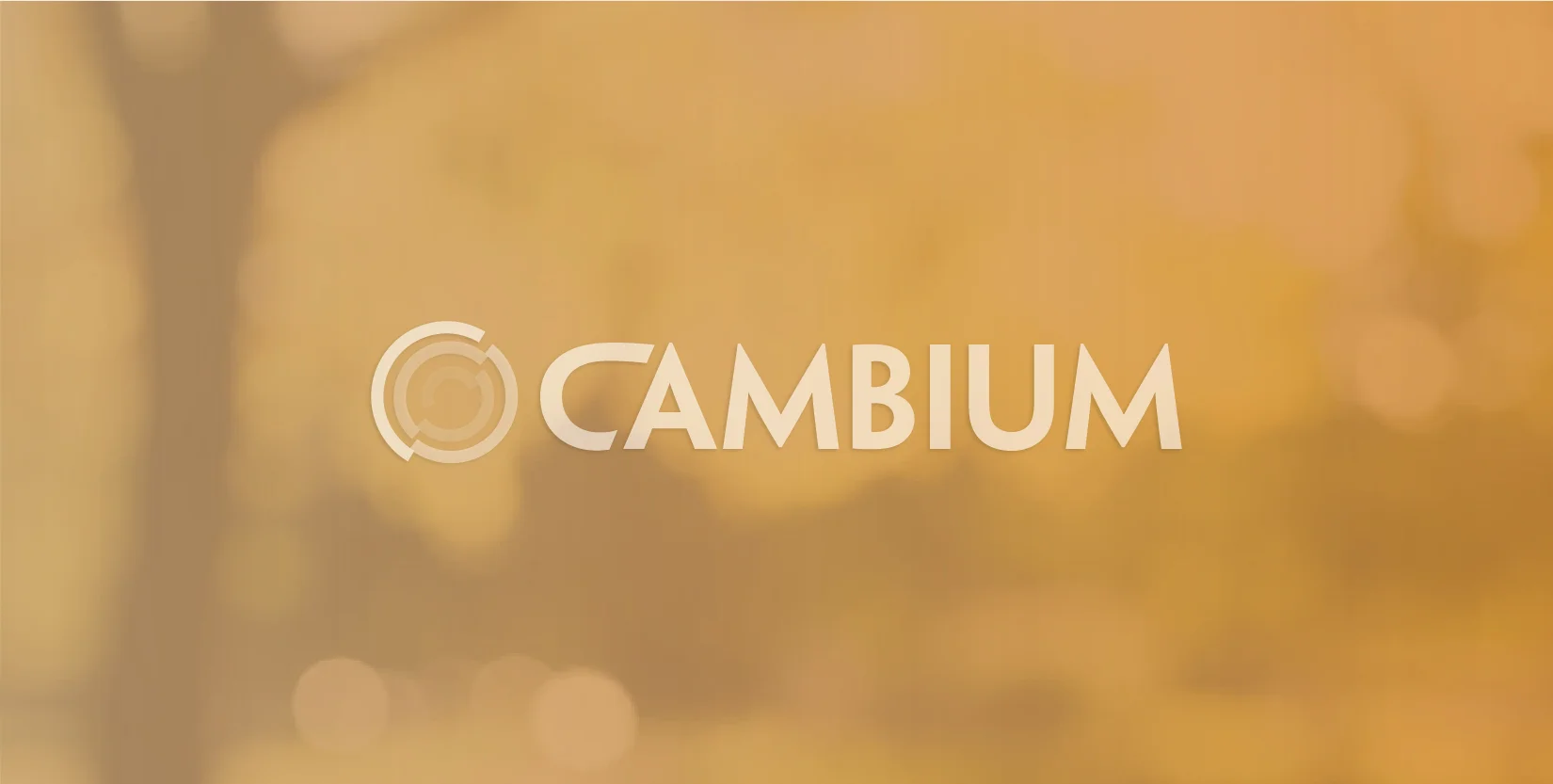 StephNE_LogoPortfolio_Cambium 2.jpg