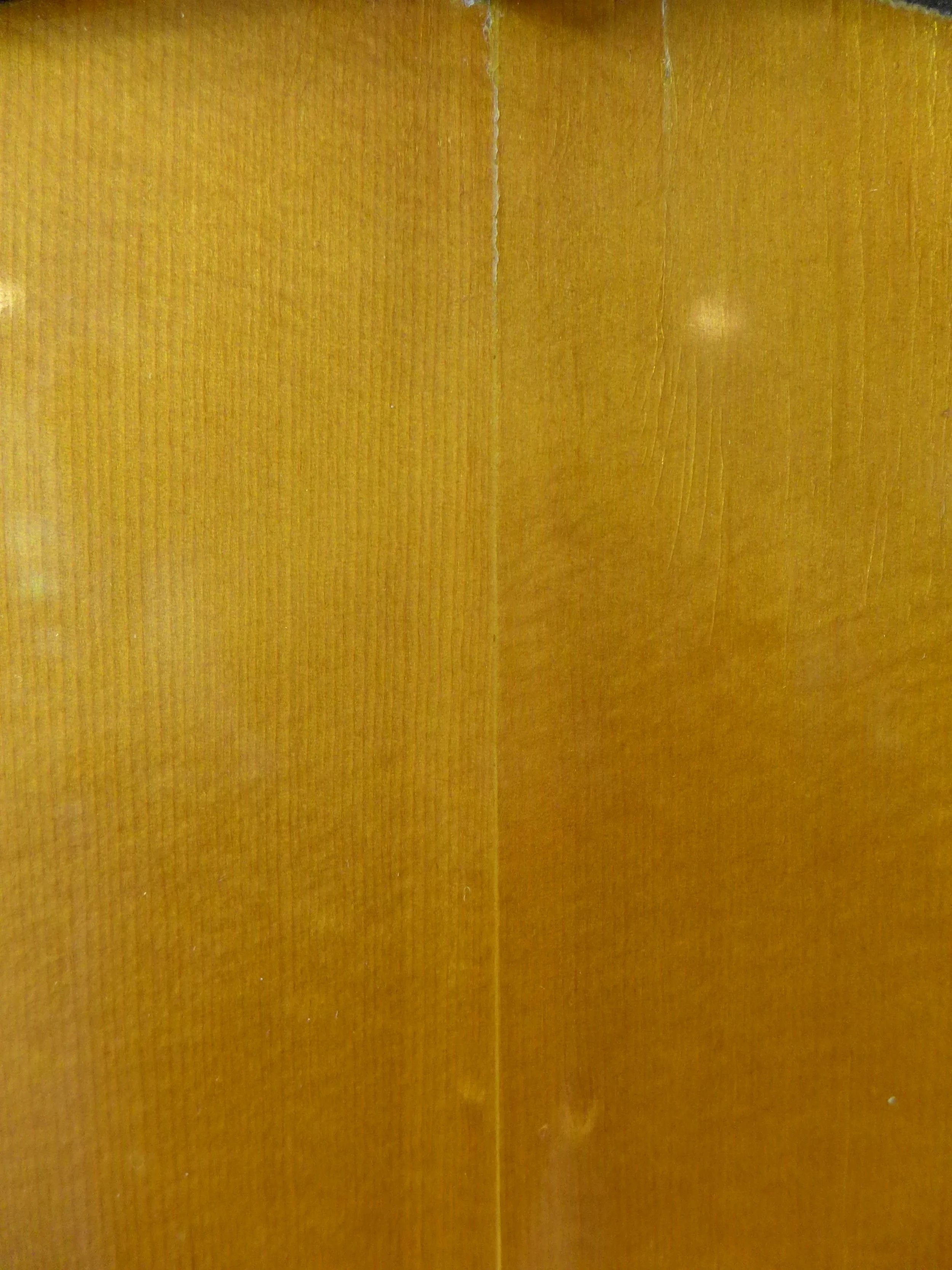 P1130010.JPG