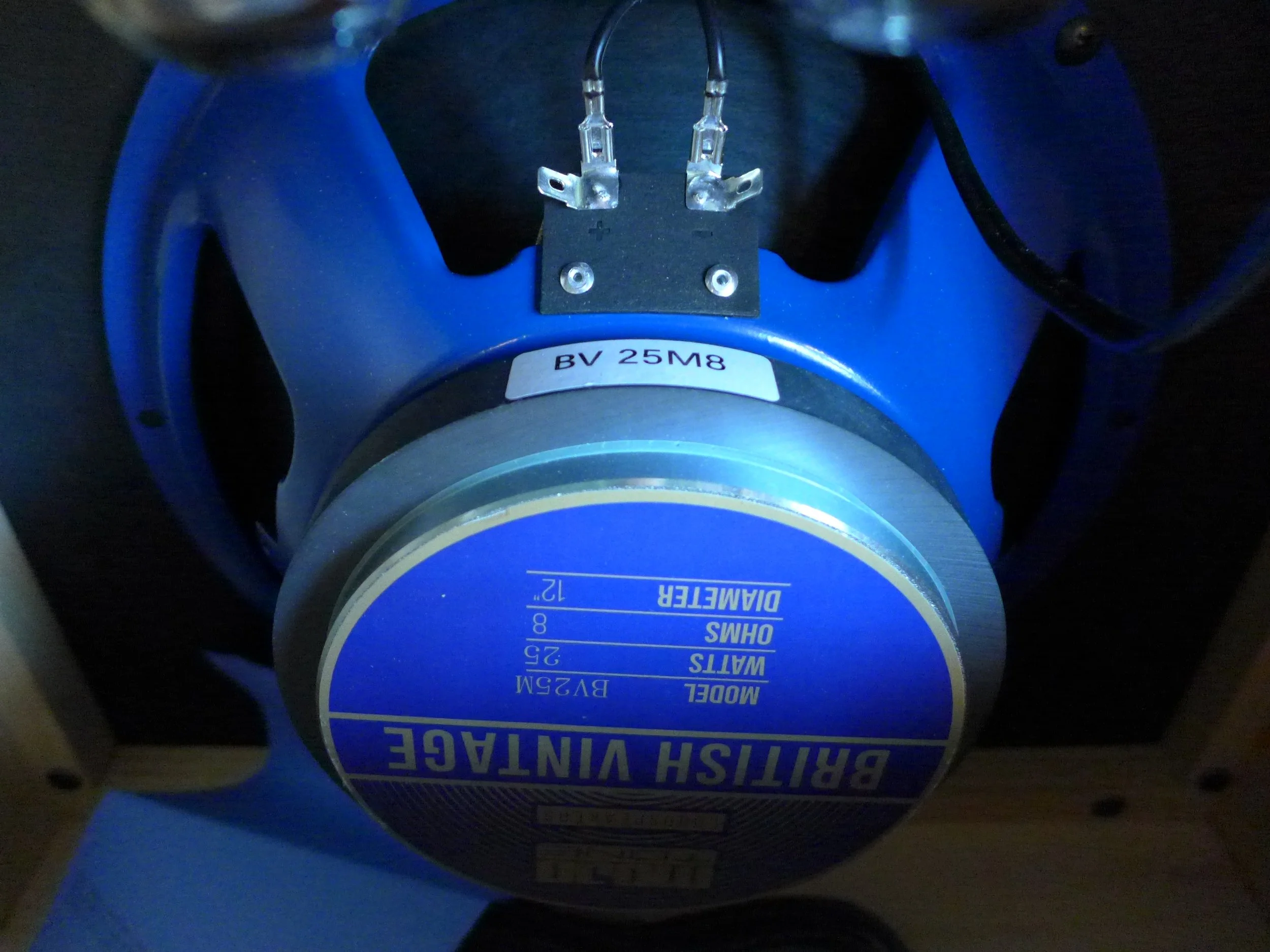P1130154.JPG