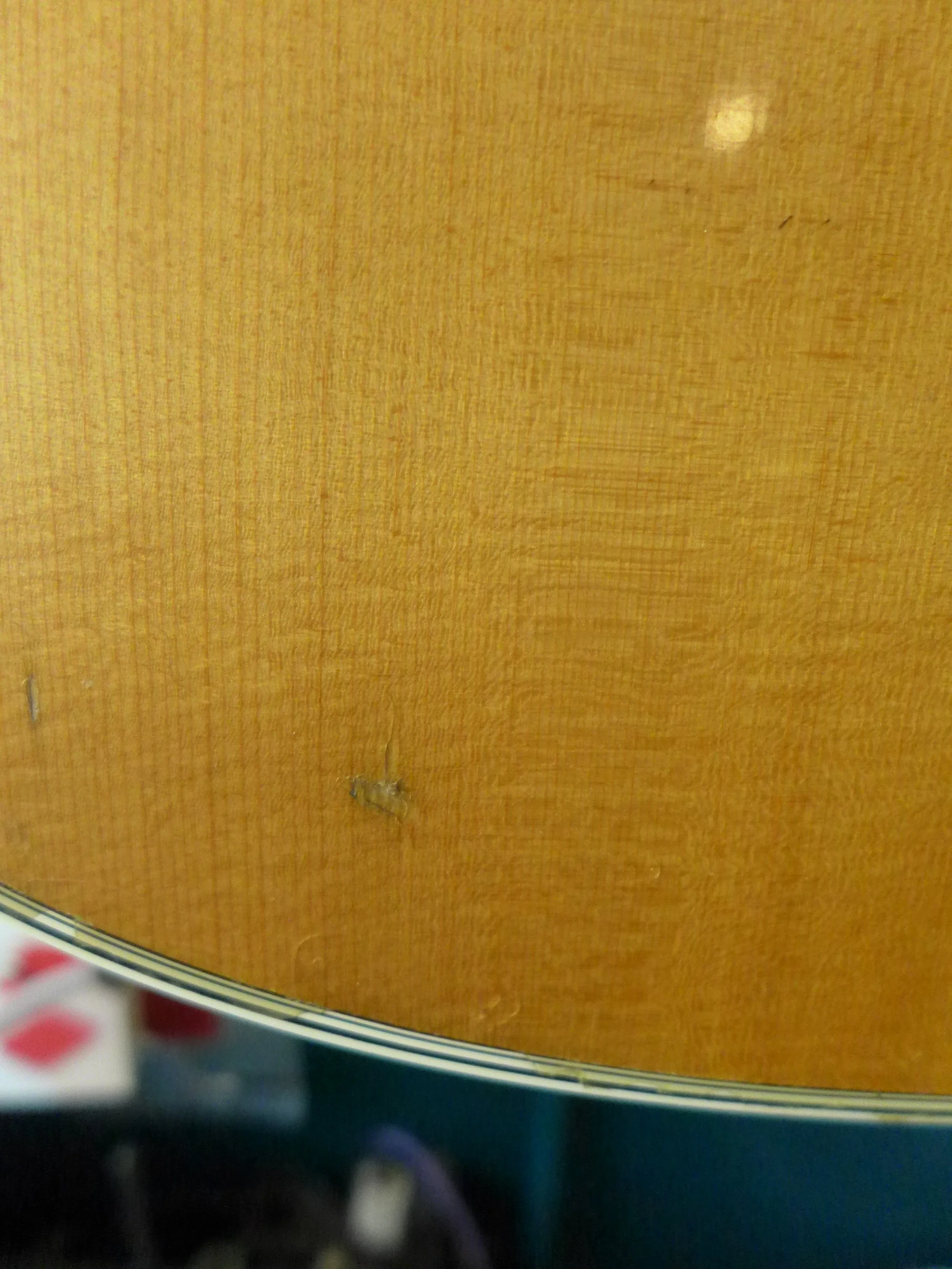 P1120741.JPG