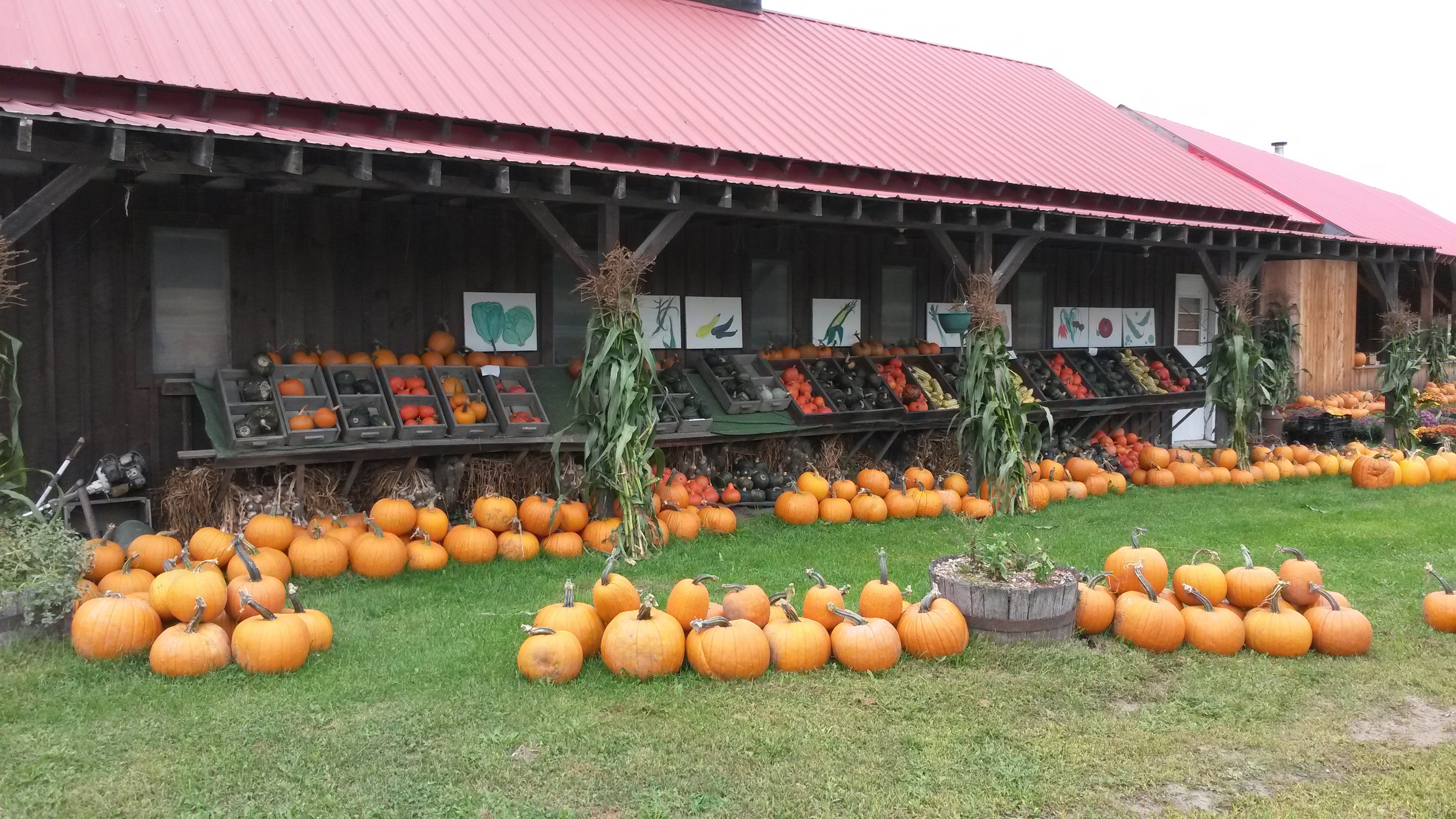 Fall on the farm