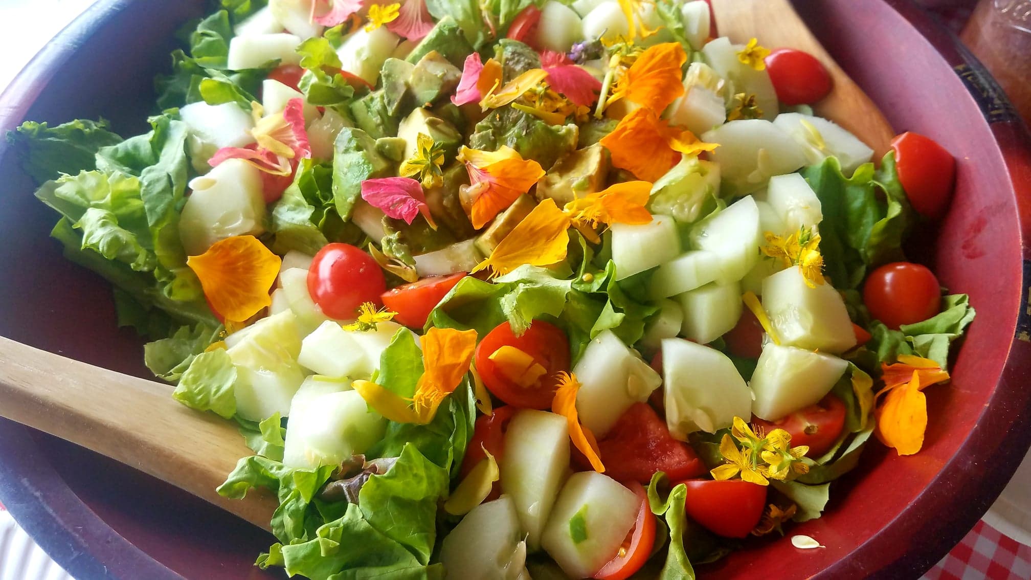 A farm tour salad