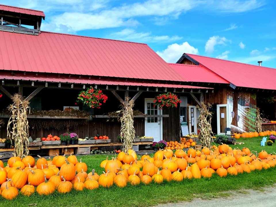 Farmstand3.jpg