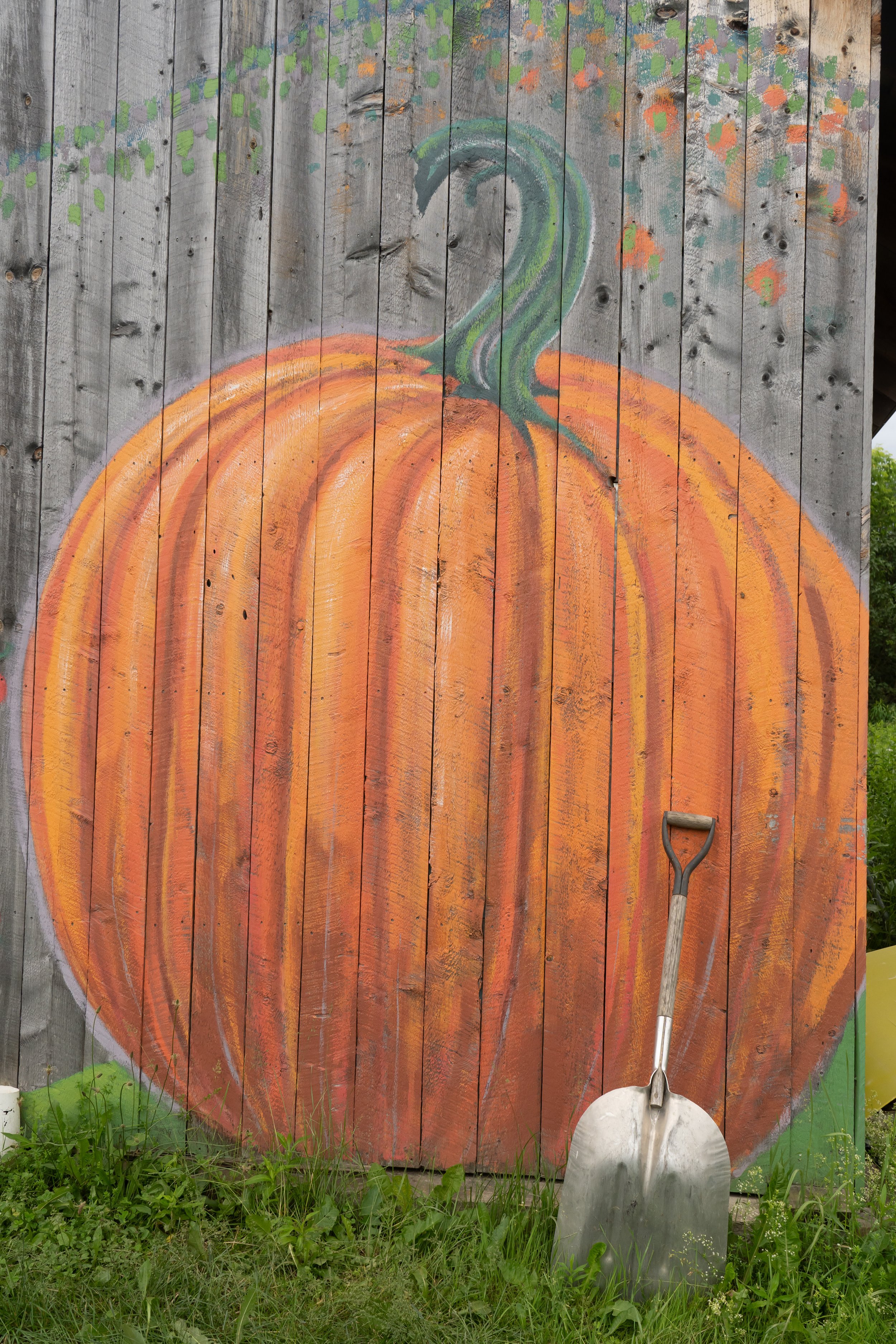 Big Pumpkin Mural at Hartshorn Farm in Vermont
