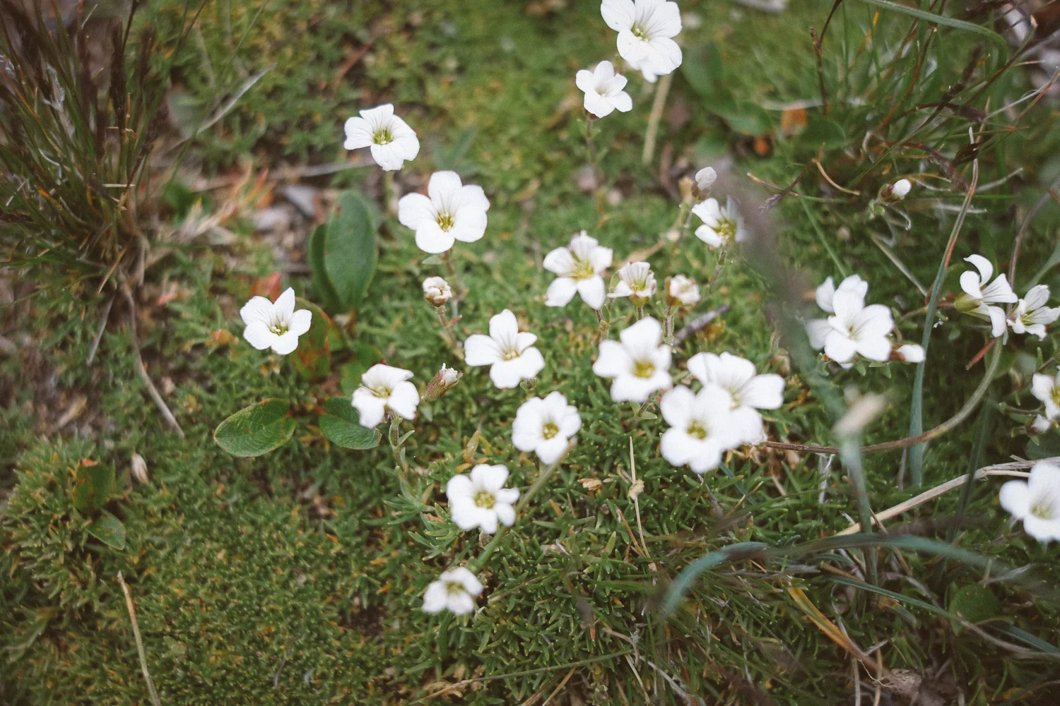 DSCF1395.jpg