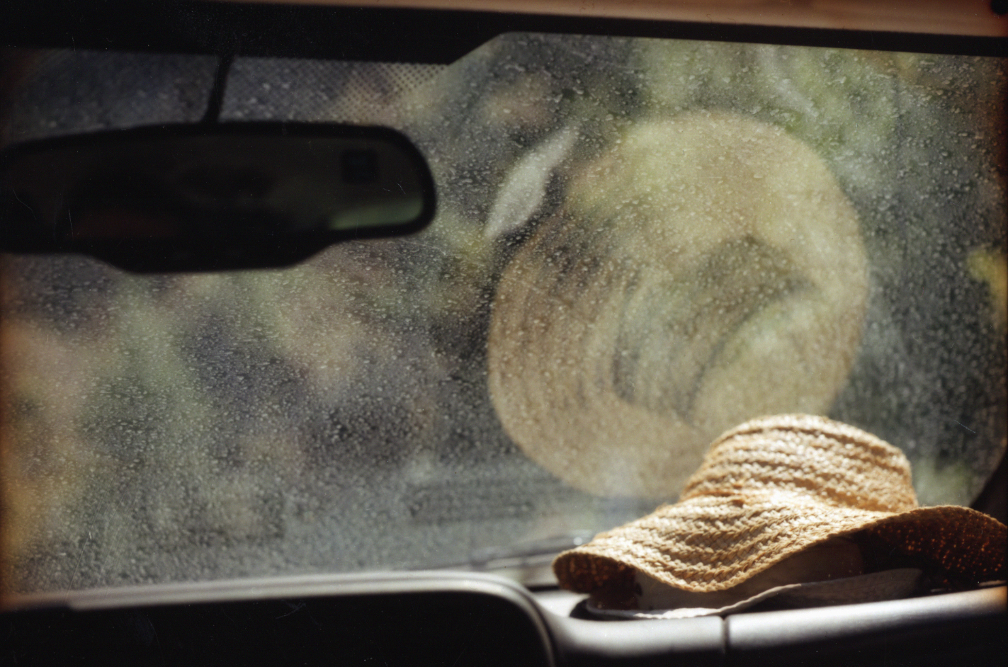 49. Hat & Truck.jpg