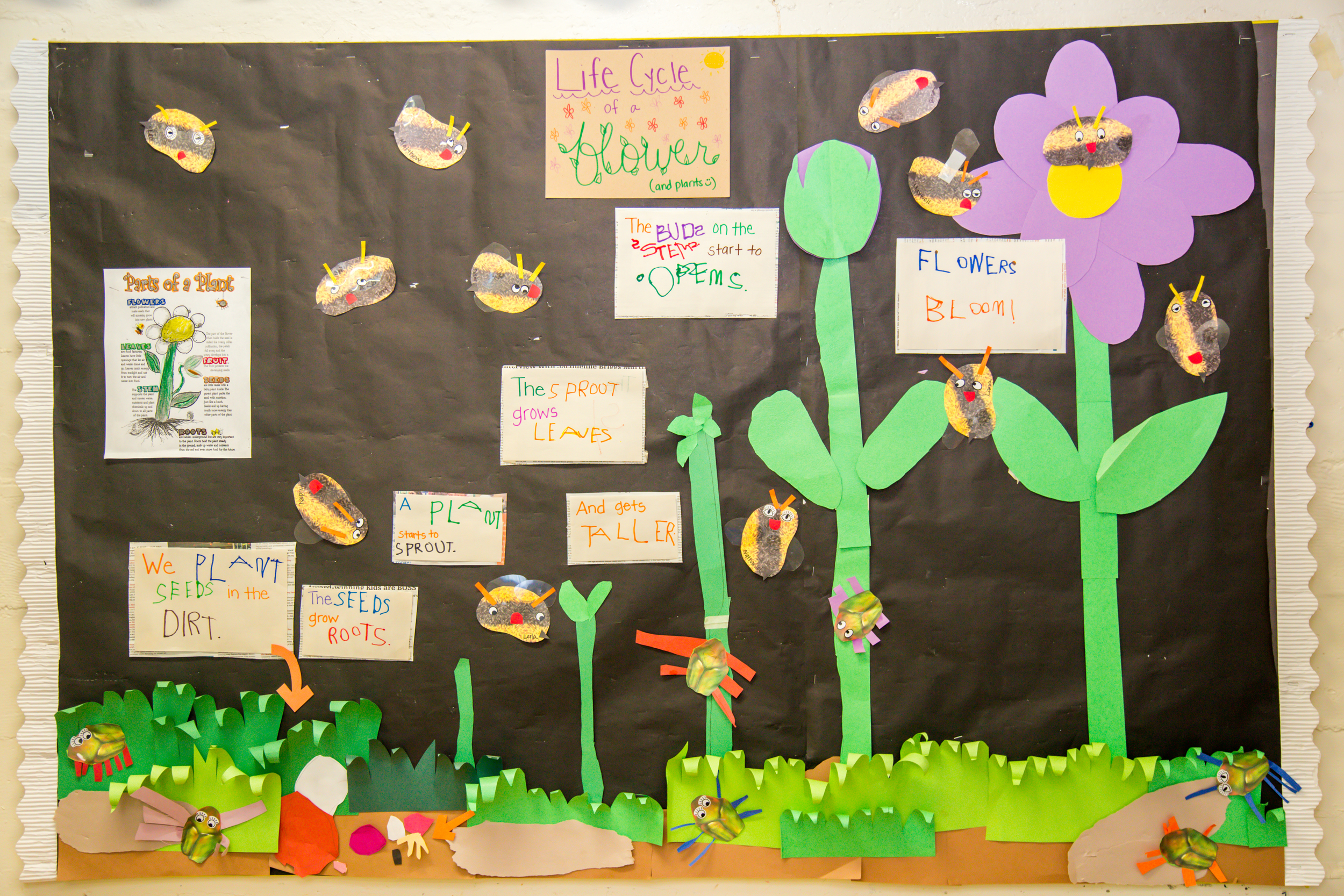 Each week the children investigate a new theme and letter of the alphabet. Artwork and projects decorate the classroom with interactive displays.